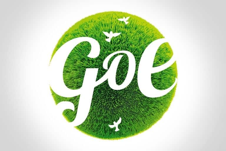 goe19 1